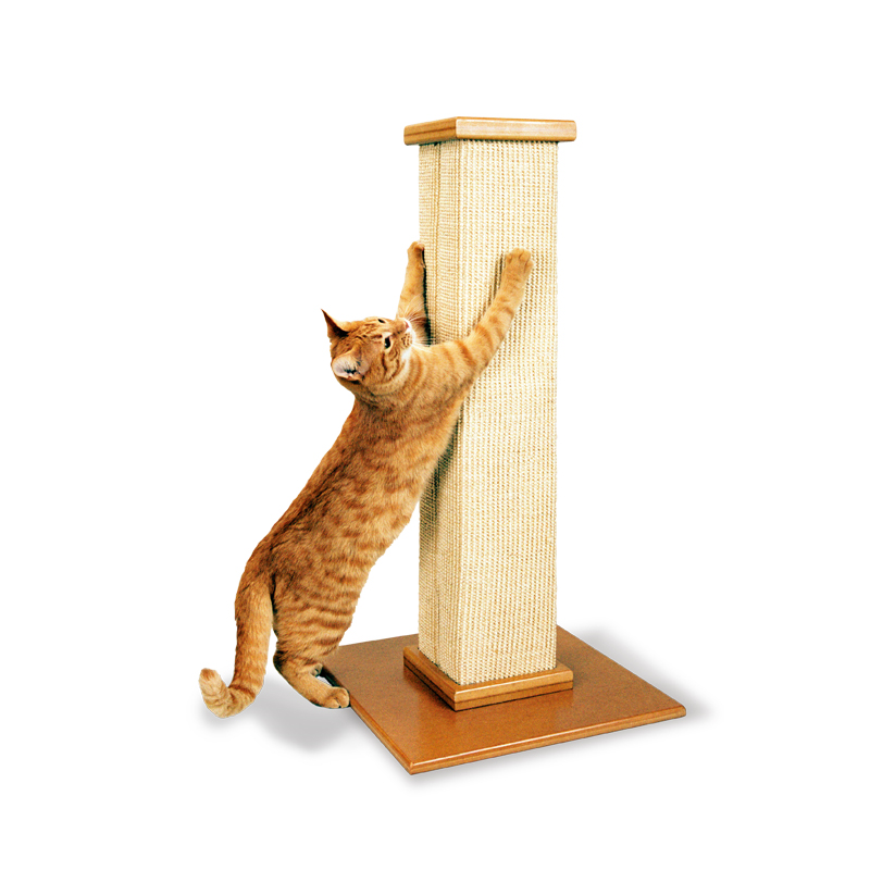 SmartCat The Ultimate Scratching Post