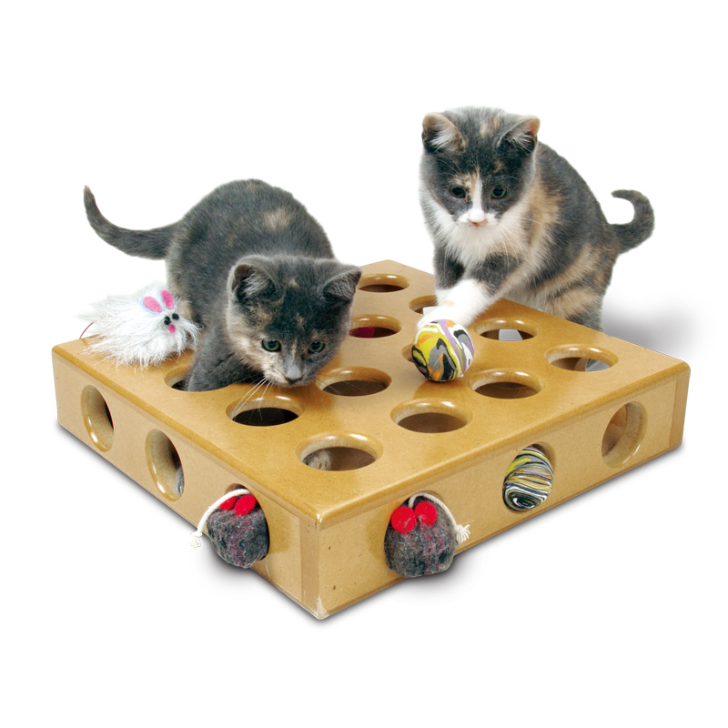 SmartCat Peek-a-Prize Toy Box - Click Image to Close