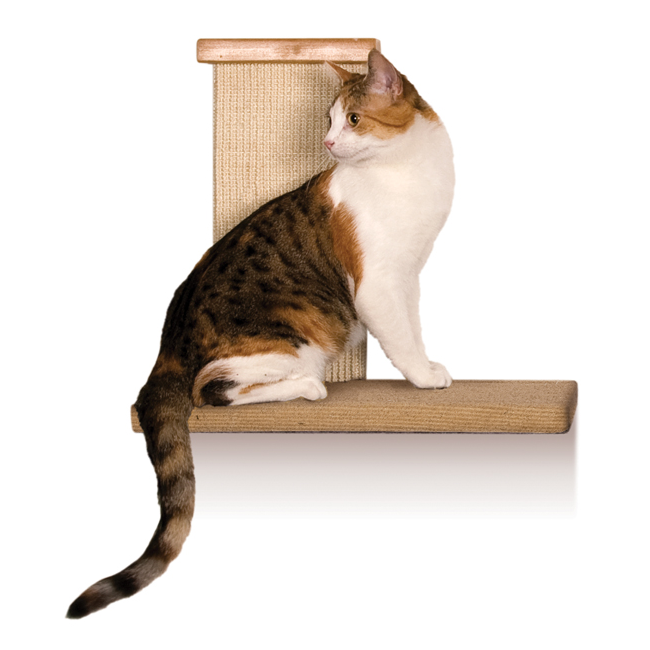 SmartCat Sky Climber