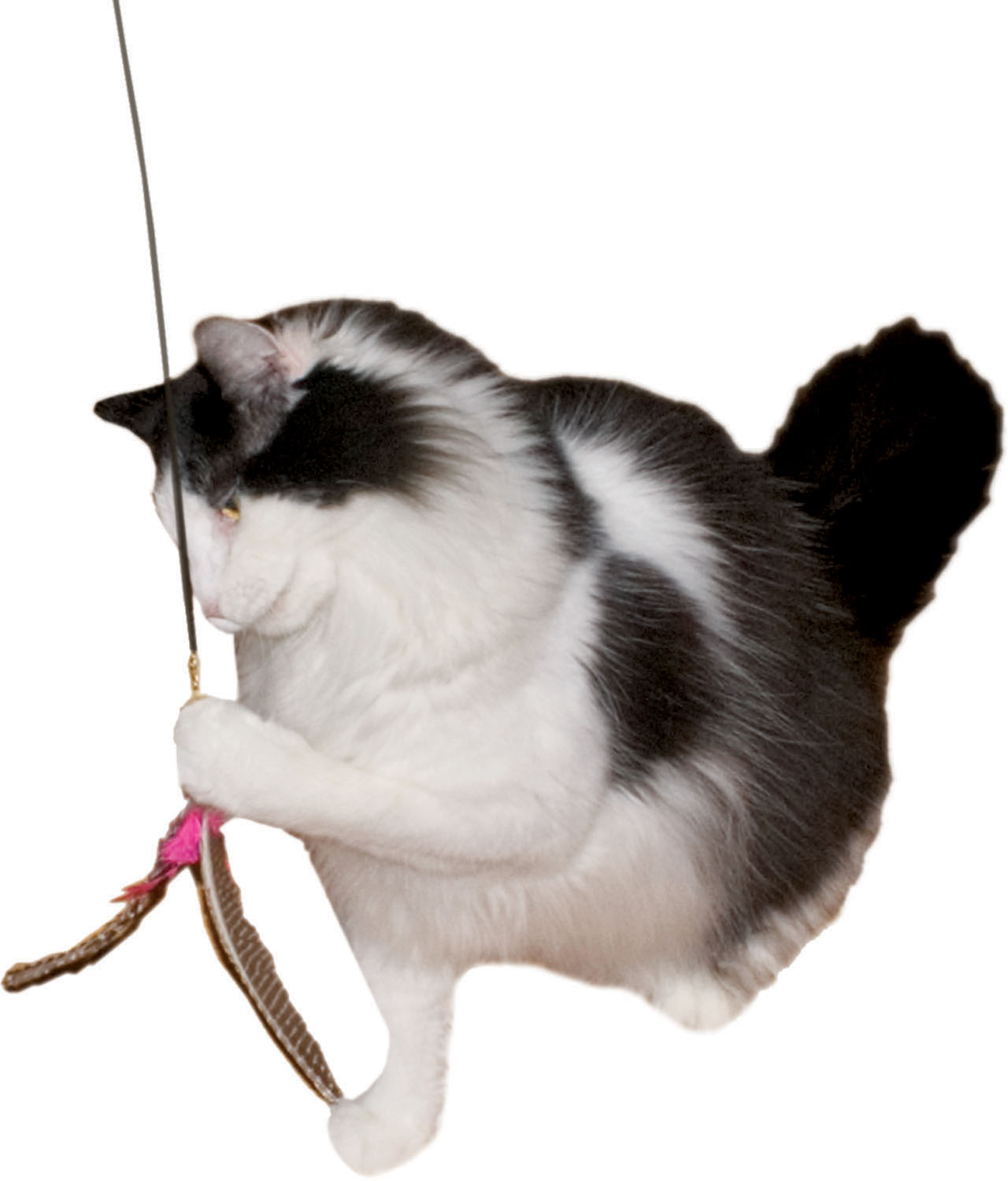 Imperial Cat - Cat'n Around Tease 'n Wands - Click Image to Close