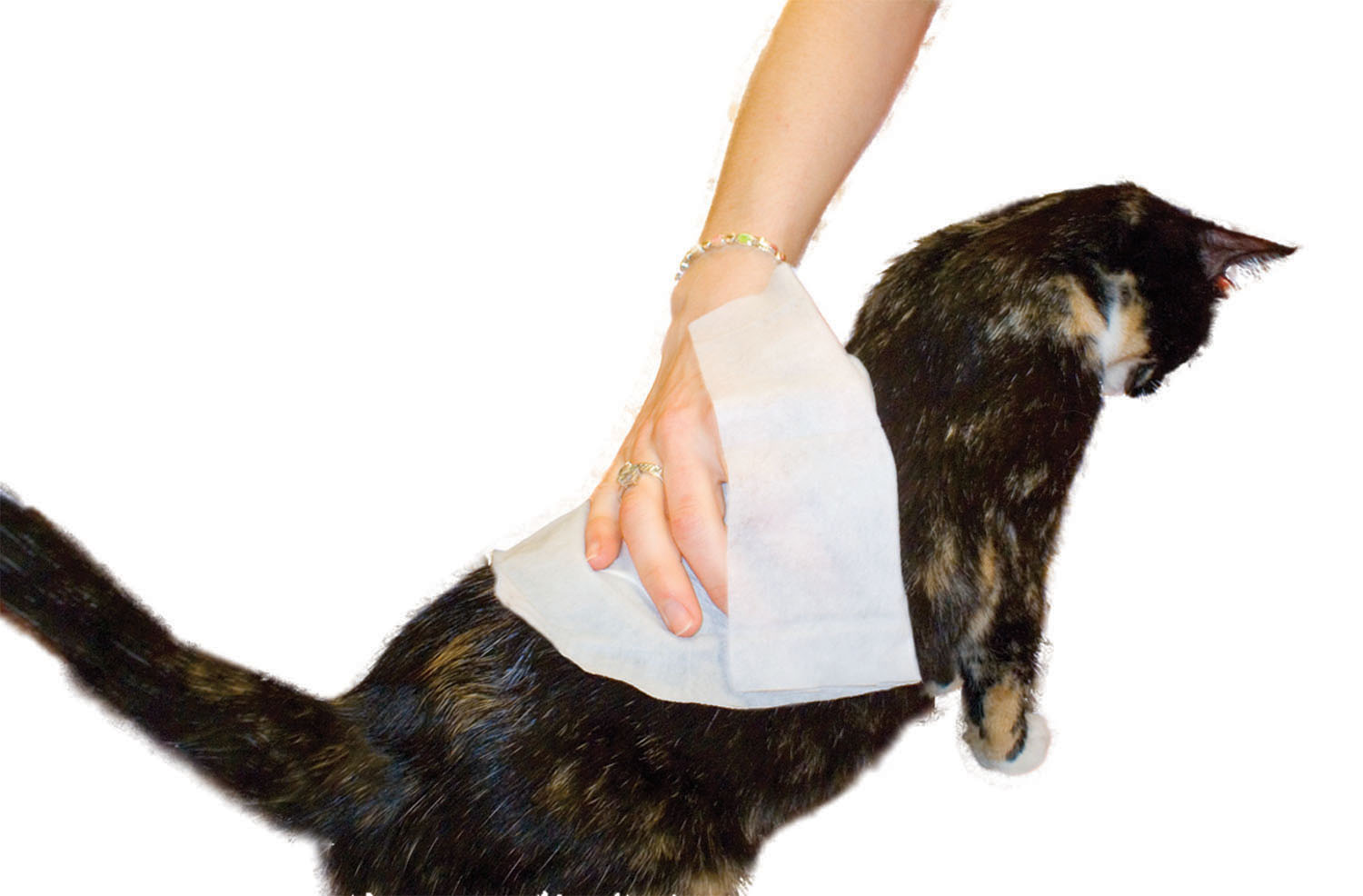 Imperial Cat Kitty Wipes - Click Image to Close