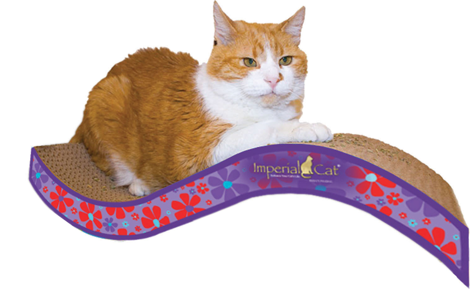 Imperial Cat - Purrfect Stretch Medium - Click Image to Close