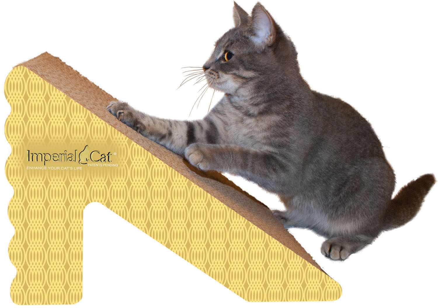 Imperial Cat - Shape Scratchers Rub 'n Ramp