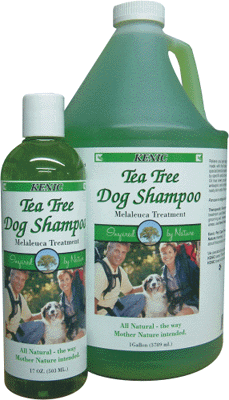 Kenic Tea Tree (Melaleuca) Shampoo - Click Image to Close